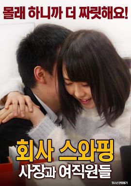 公司交换：老板与女职员在线观看_韩国_2017