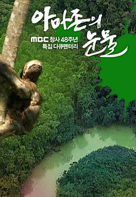 亚马逊的眼泪在线观看_韩国_2010